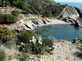 photo coins arrondis